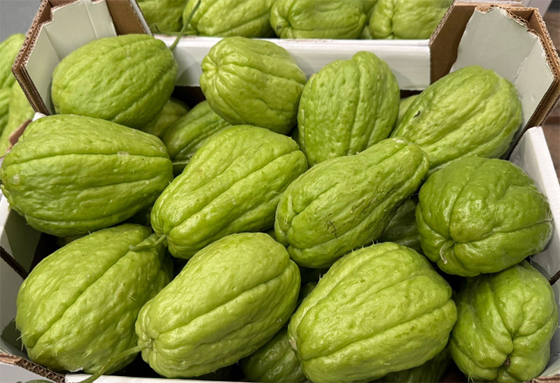 Zucchine spinose - Sicilia - 1,30 euro al chilogrammo